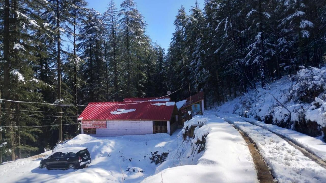 Matri Pitri Cottage Matiana Екстериор снимка